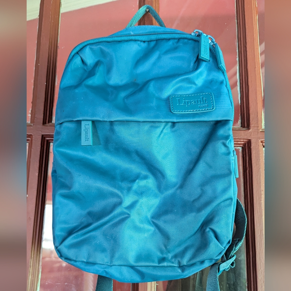Adorable French mini backpack